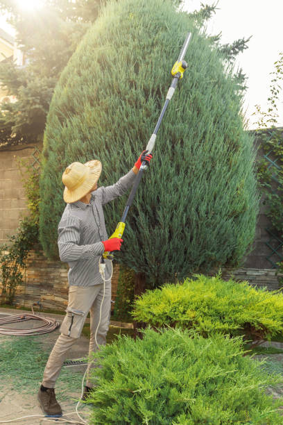 Best Lawn Watering Services  in Franklinton, NC